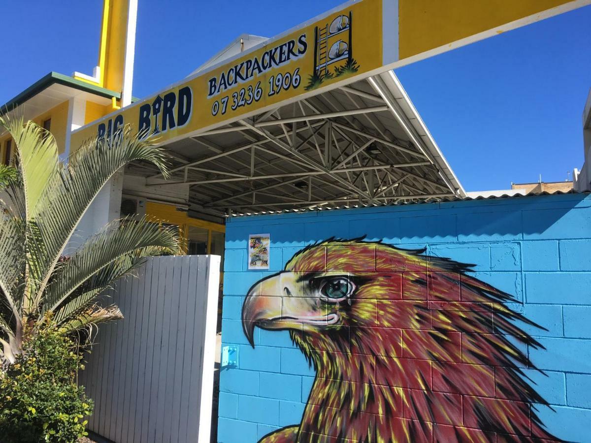 Hostel Big Bird Backpackers *